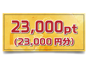 23,000pt (23,000円分)